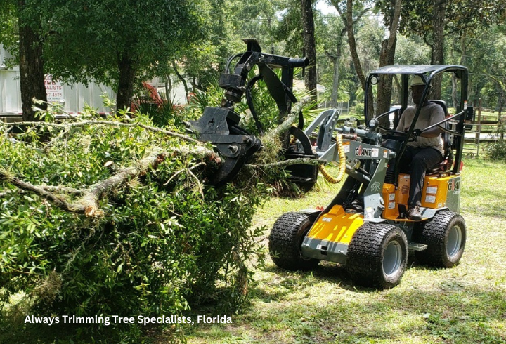 Man on a GiANT G1200 with branches in the grapple attachment.