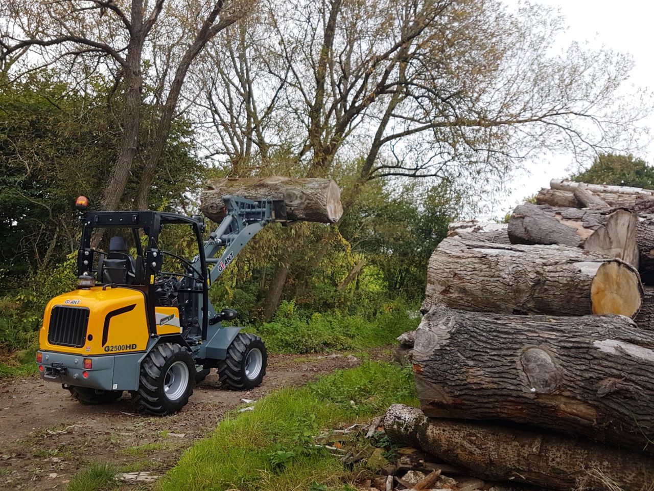 G2500 Series Heavy Duty Articulated Wheel Loader Giant Loaders