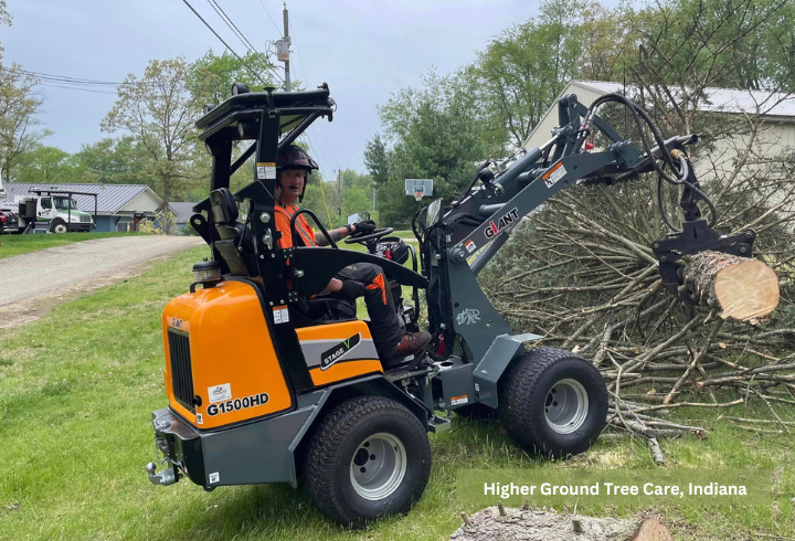Man in a GiANT G1500 carries a tree in his grapple.