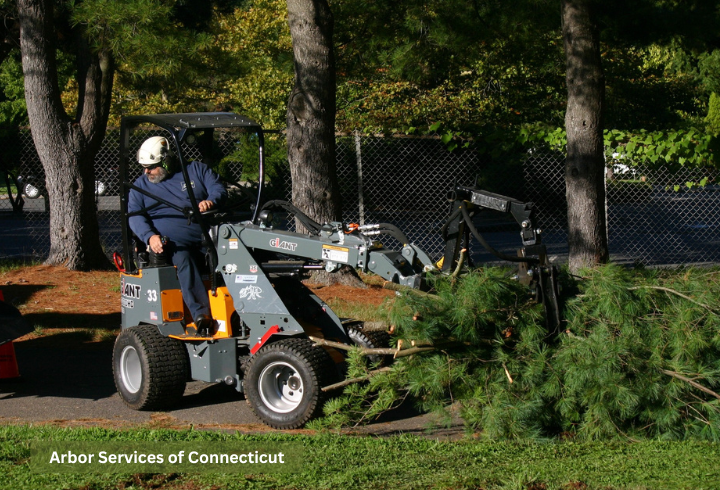 Man on a GiANT G1200 TELE maneuvers on a park sidewalk with evergreen branches in the grapple attachment.